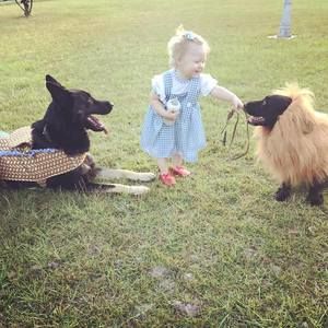 Meet your Posher, Steven